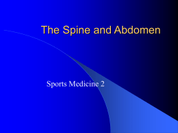 The Spine and Abdomen