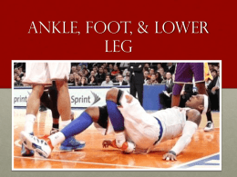 Foot Ankle Lower Legx