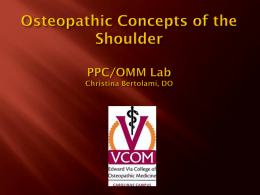 Osteopathic Concepts of the Shoulder PPC/OMM Lab Christina