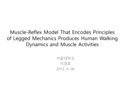 Muscle-Reflex Model That Encodes Principles of Legged