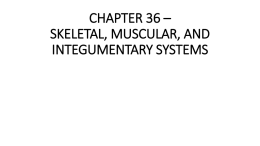 chapter 36 * skeletal, muscular, and integumentary systems