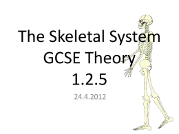The Skeletal System GCSE Theory 1.2.5