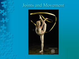 Joints and Movement dl