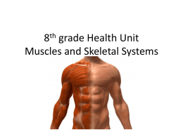 What the skeletal system does for you
