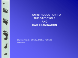 THE GAIT CYCLE