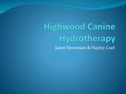 Highwood Canine Hydrotherapy