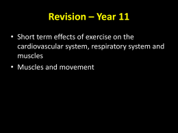 B453 GCSE PE Muscles and effects of exercise