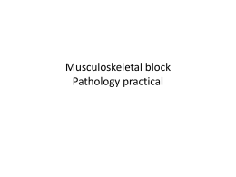 Musculoskeletal practical block