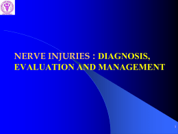 NERVE INJURY - aiimsnets.org