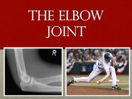 Elbow Jointx
