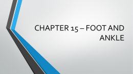 Chapter 15 Powerpoint – Foot, Ankle and Lower Leg
