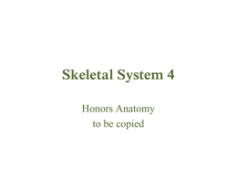 Skeletal System 4 - anderson1.k12.sc.us