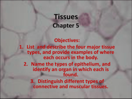 Tissuesx