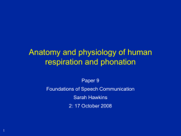 Anatomy and physiology of human respiration and phonation