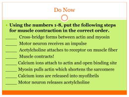 Using the numbers 1-8, put the following steps for muscle