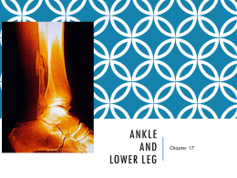 Ankle and Lower Leg