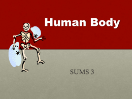 Human Bodyx