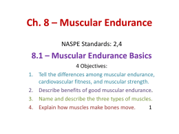 Ch. 8 – Muscular Endurance