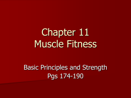 Chapter 11 Muscular Strength