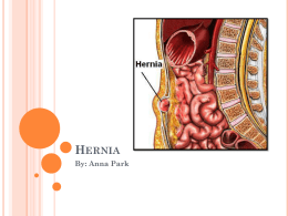 Hernia - Diseaseprojectblockb