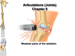 Articulations (Joints) Chapter 8