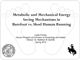 Metabolic and Mechanical Energy Saving Mechanisms in Barefoot