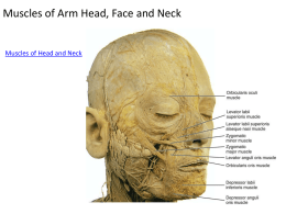 Muscles of Arm Head, Face and Neck