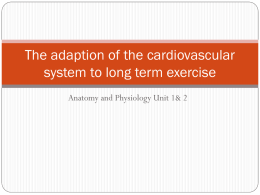 The adaption of the cardiovascular system to long