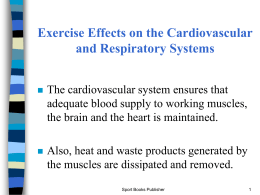 Training Effects of Aerobic exercise on the Cardiovascular
