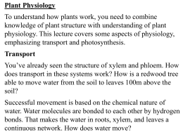 Plant Physiology - University of Windsor