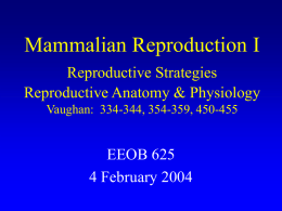Questions in Mammalian Reproduction I