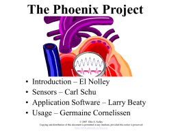 Introduction - Phoenix Project