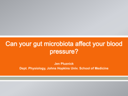 Can your gut microbiota affect your blood pressure?