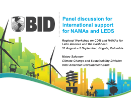 Panel discussion for international support for NAMAs and LEDS