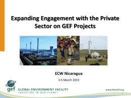 Expanding Engagement with the Private Sector on GEF Projects