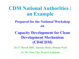 CDM National Authorities : an Example
