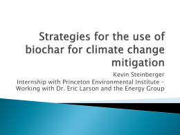 Strategies for the use of biochar for climate change mitigation