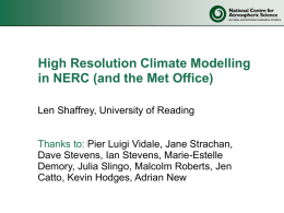 High-resolution studies in NERC