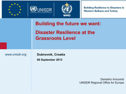 Disaster resilience at the grassroots level