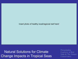 Natural Solutions for Climate Change Impacts in Tropical Seas
