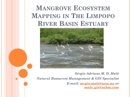 Mangrove Ecosystem Mapping in The Limpopo River Basin …