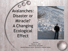 The Changing Ecological Effect of Avalanches Due to