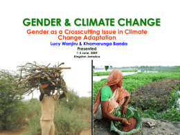 GENDER & CLIMATE CHANGE - Home | UNDP-ALM