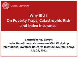 IBLI Performance Paper