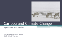 Caribou and Climate Change