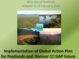 Peatlands in Ramsar Convention – key documents and