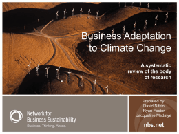 Champions of Business Sustainability