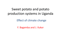 Sweet potato and potato production systems in Uganda