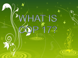 WHAT IS COP 17?