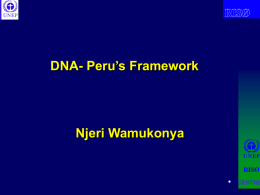 DNA Peru's Framework